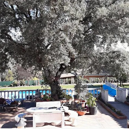 Lovely Home, Cozy Corner In El Bosque, Madrid. Villaviciosa de Odon Exterior photo